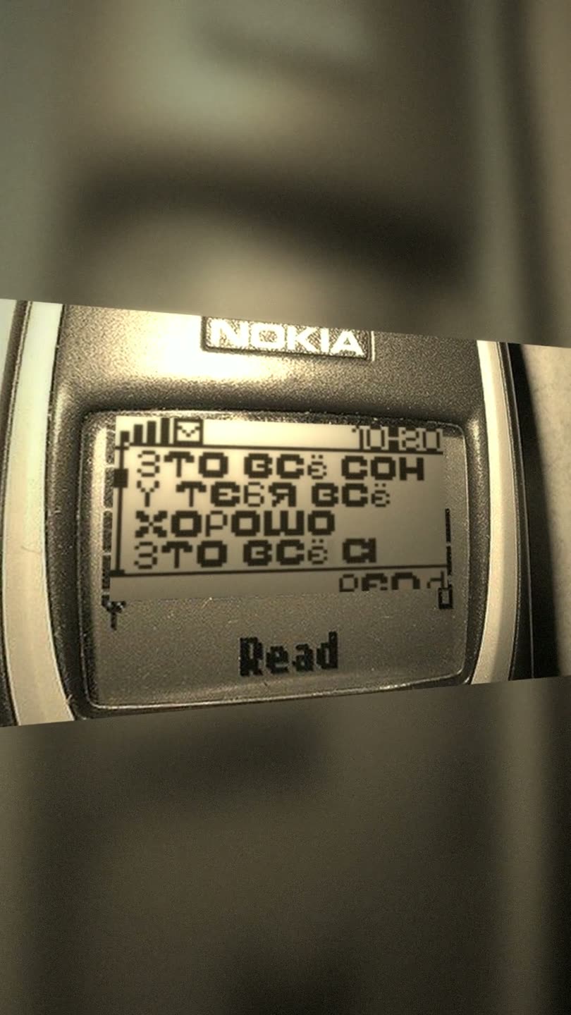 Кадр: вертикальная версия, Nokia 3310 в сепии